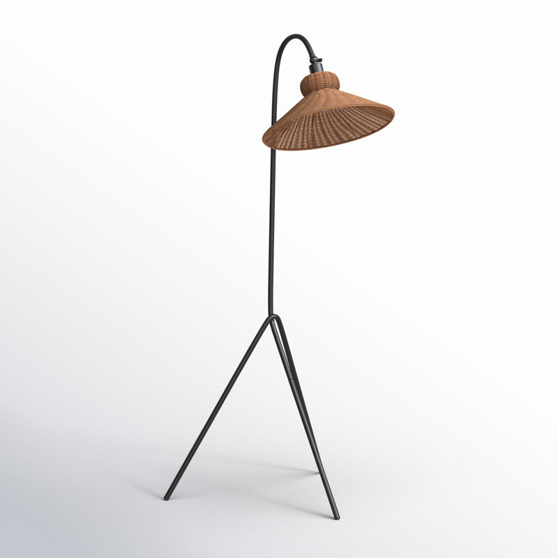 Wayfair Plumeria 63.75'' Black Arched Floor Lamp