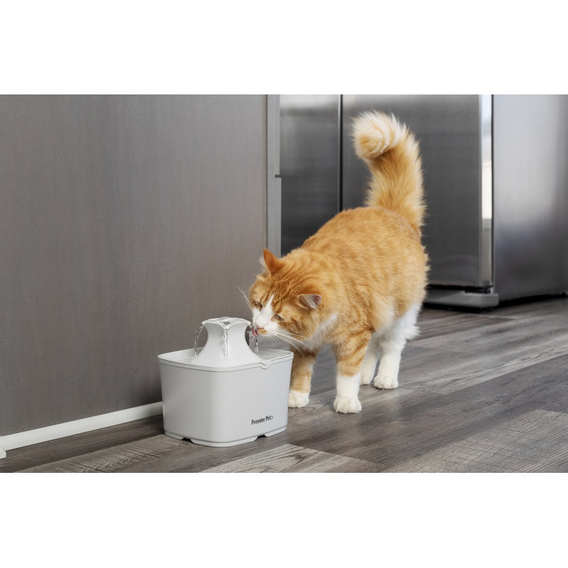 Wayfair Premier Pet 60 Oz Pet Fountain