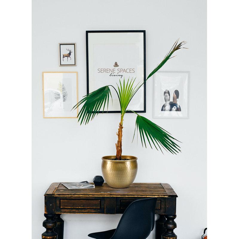 Wayfair Quanette Metal Pot Planter