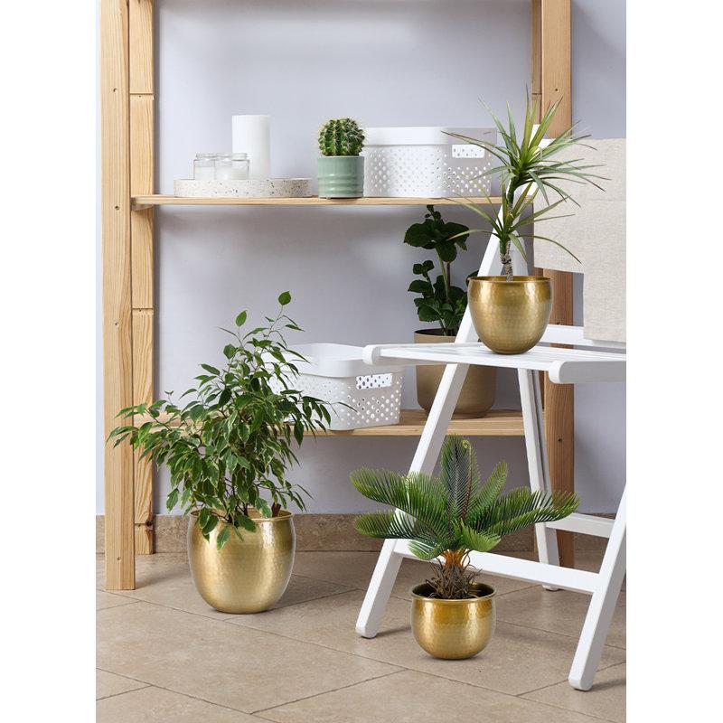 Wayfair Quanette Metal Pot Planter