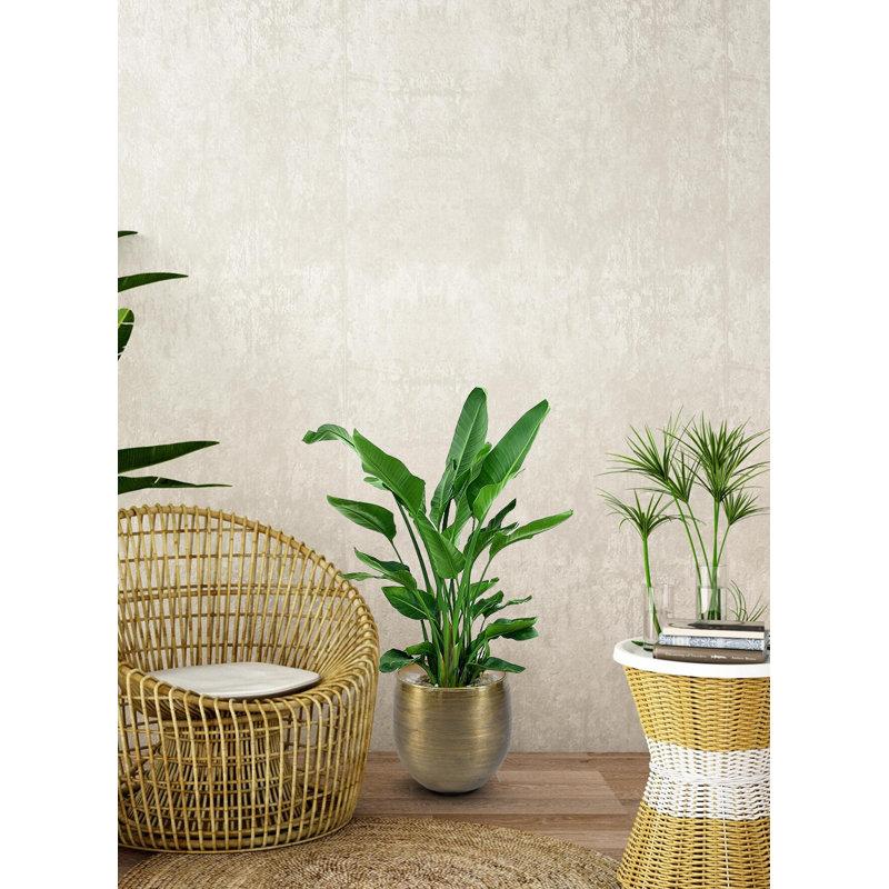 Wayfair Rudalph Metal Cachepot