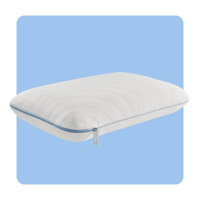 Wayfair Sealy Dreamlife Memory Foam Medium Pillow