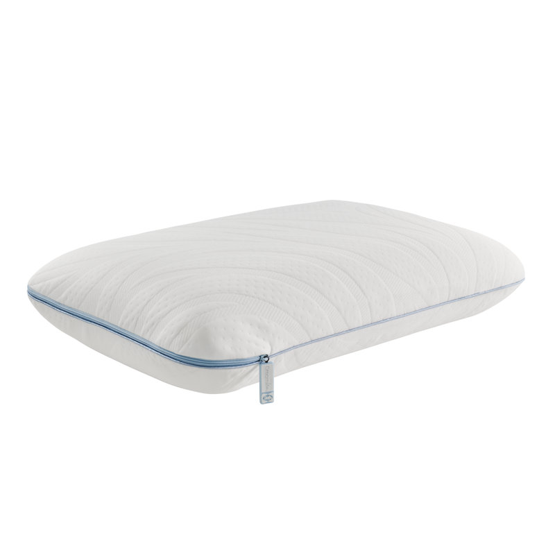 Wayfair Sealy Dreamlife Memory Foam Medium Pillow