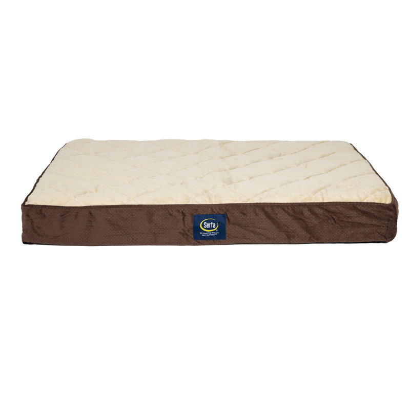 Wayfair Serta Quilted Pillowtop Pet Bed