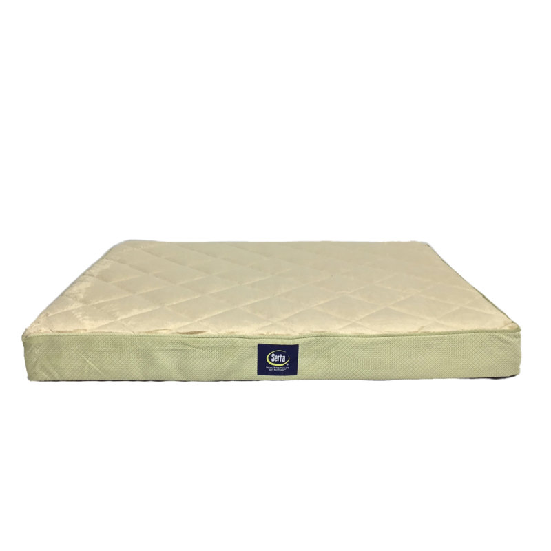 Wayfair Serta Quilted Pillowtop Pet Bed
