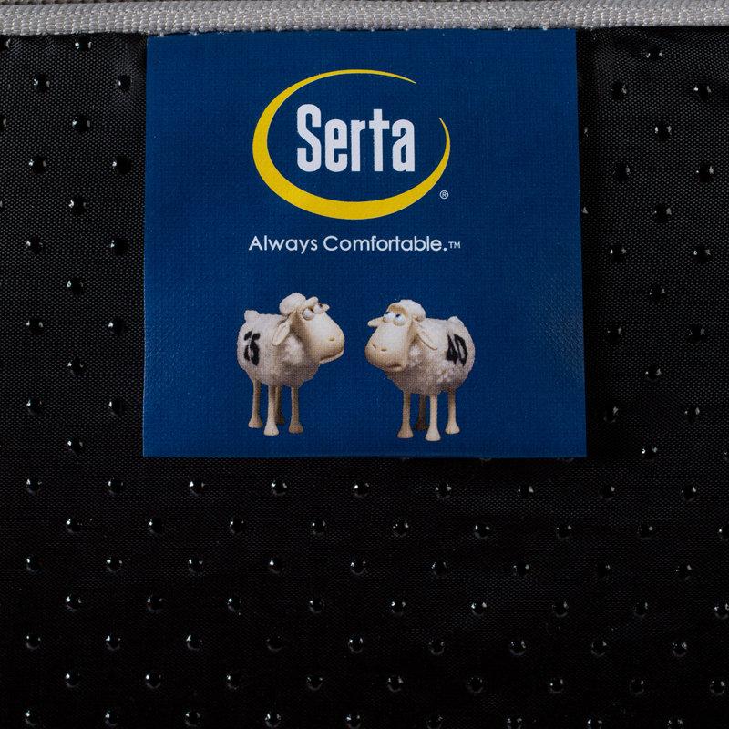 Wayfair Serta Quilted Pillowtop Pet Bed