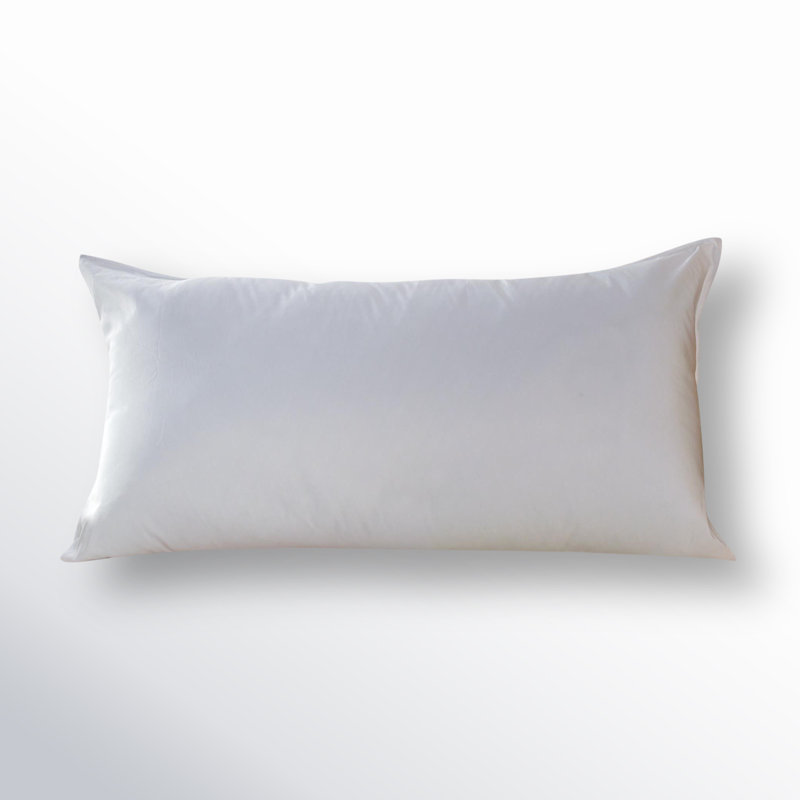 Wayfair Wayfair Sleep™ Polyester Plush Pillow (Set Of 2)