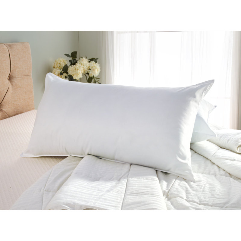 Wayfair Wayfair Sleep™ Polyester Plush Pillow (Set Of 2)