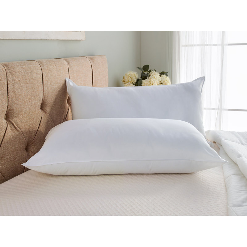 Wayfair Wayfair Sleep™ Polyester Plush Pillow (Set of 2)