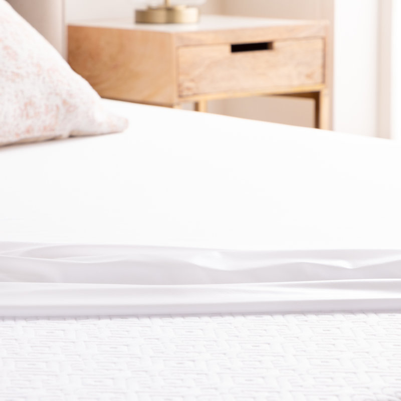 Wayfair Wayfair Sleep™ Waterproof Fitted Mattress Protector