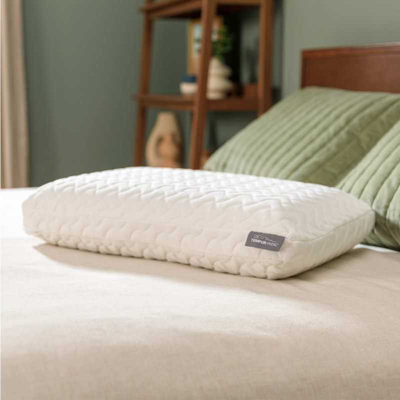 Wayfair TEMPUR-Cloud® Extra Plush Pillow