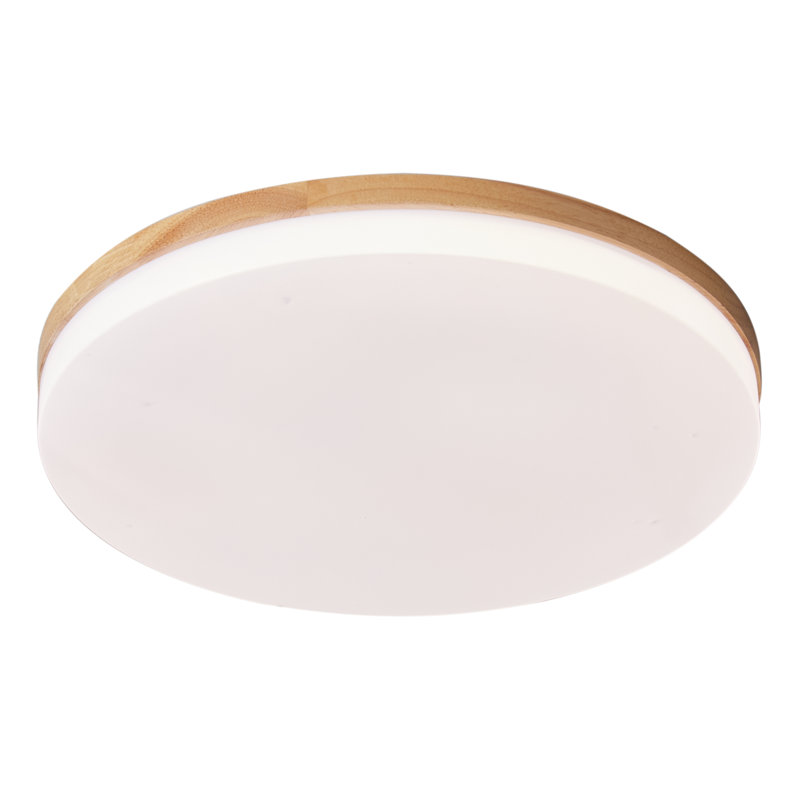 Wayfair Trotman Acrylic LED Flush Mount