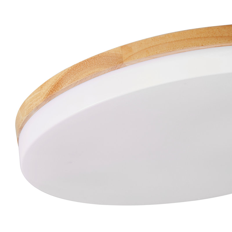 Wayfair Trotman Acrylic LED Flush Mount