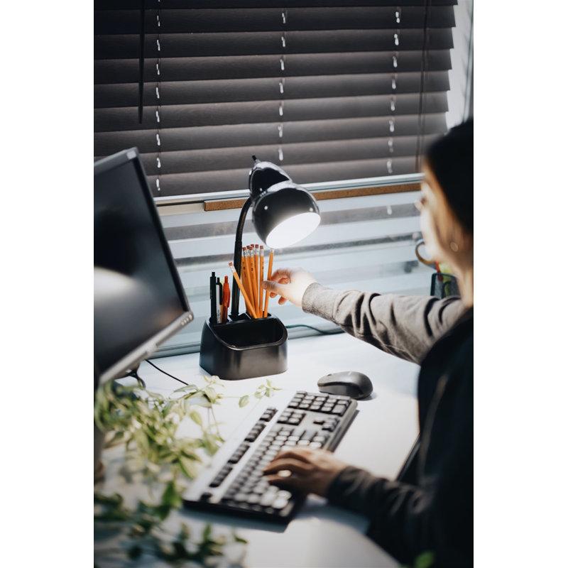 Wayfair USB Desk Lamp