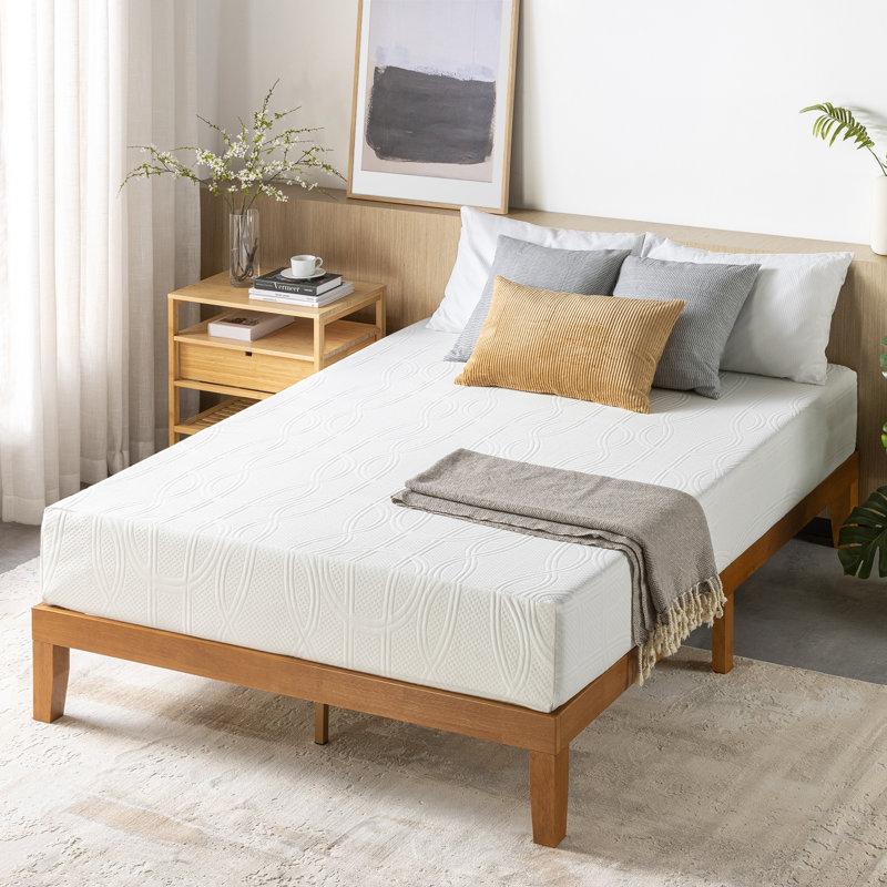 Wayfair Wayfair Sleep 8" Plush Memory Foam Mattress