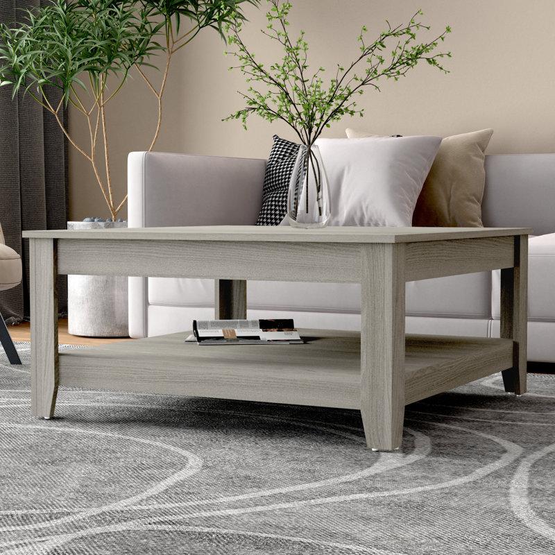 Wayfair Weddel Basilico Coffee Table With Storage
