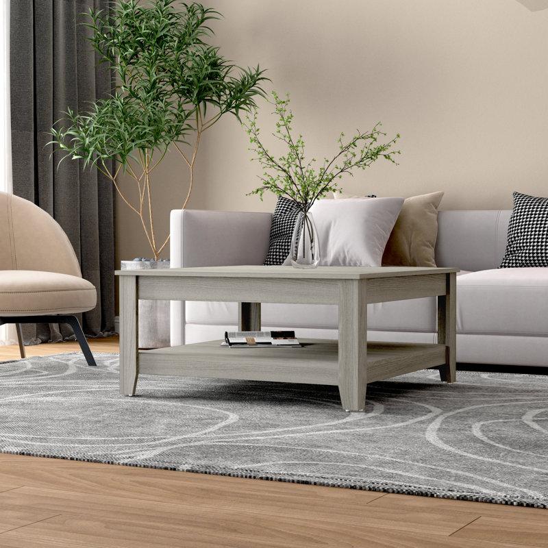 Wayfair Weddel Basilico Coffee Table with Storage