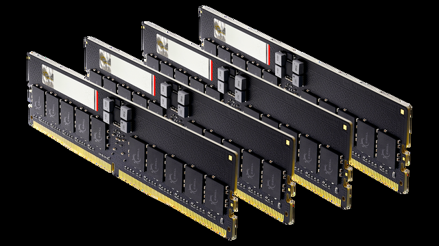 G.SKILL G5 Neo Series 128GB (4 X 32GB) ECC Registered DDR5 6000 (PC5 48000) Server Memory Model F5-6000R3036G32GQ4-G5N