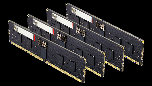 G.SKILL G5 Neo Series 64GB (4 X 16GB) ECC Registered DDR5 6400 (PC5 51200) Server Memory Model F5-6400R3239G16GQ4-G5N