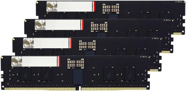 G.SKILL G5 Neo Series 64GB (4 x 16GB) ECC Registered DDR5 6000 (PC5 48000) Server Memory Model F5-6000R3036G16GQ4-G5N