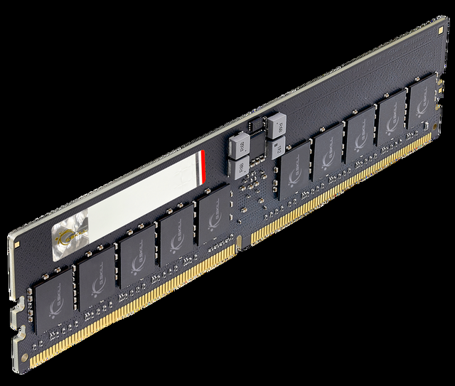 G.SKILL G5 Series 128GB (4 X 32GB) ECC Registered DDR5 6400 (PC5 51200) Server Memory Model F5-6400R3239G32GQ4-G5