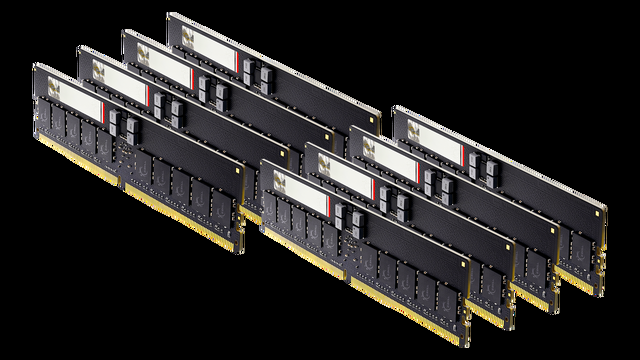 G.SKILL G5 Series 256GB (8 X 32GB) ECC Registered DDR5 6400 (PC5 51200) Server Memory Model F5-6400R3239G32GE8-G5