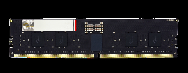 G.SKILL G5 Series 64GB (4 X 16GB) ECC Registered DDR5 6000 (PC5 48000) Server Memory Model F5-6000R3036G16GQ4-G5