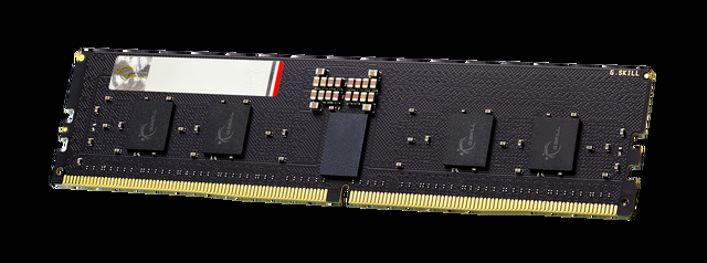 G.SKILL G5 Series 64GB (4 X 16GB) ECC Registered DDR5 6000 (PC5 48000) Server Memory Model F5-6000R3036G16GQ4-G5