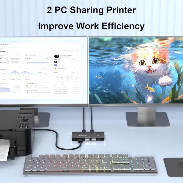 SMA USB 3.0 Switch 2 Computers Share 4 USB 3.2 Device USB 3.2 10Gbps 2 In 4 Out USB C Switcher For 2 PC Share 4 USB Devices Printer Scanner Mouse Keyboard With 2 USB C-C Cables And Wired Remote