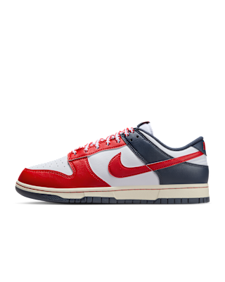 Nike Nike Dunk Low Retro Men's Shoes