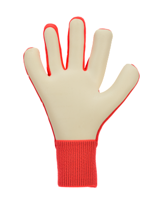 Nike Nike Dynamic Fit Soccer Goalkeeper Gloves