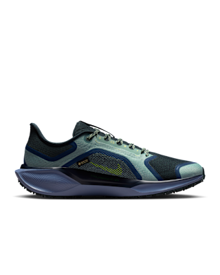 Nike Nike Pegasus 41 GORE-TEX Men's Waterproof Road Running Shoes