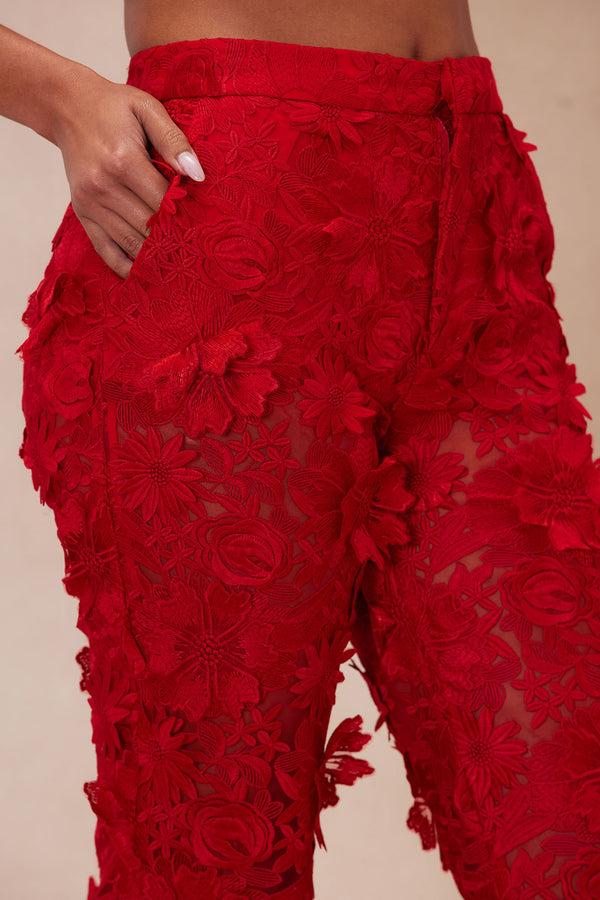 Fashion Nova Denise Embroidered Pants - Red