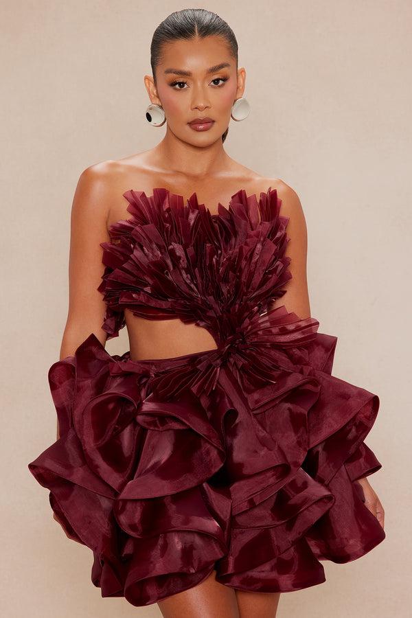 Fashion Nova Tila Organza Mini Dress - Burgundy