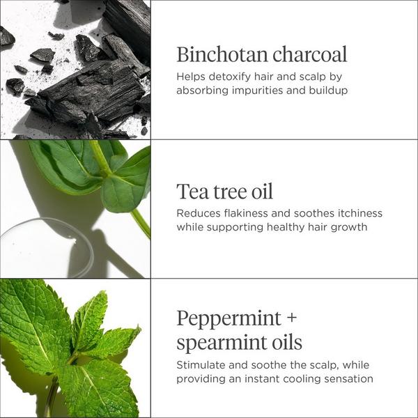 Ulta Briogeo  Scalp Revival Charcoal + Tea Tree Cooling Hydration Mask