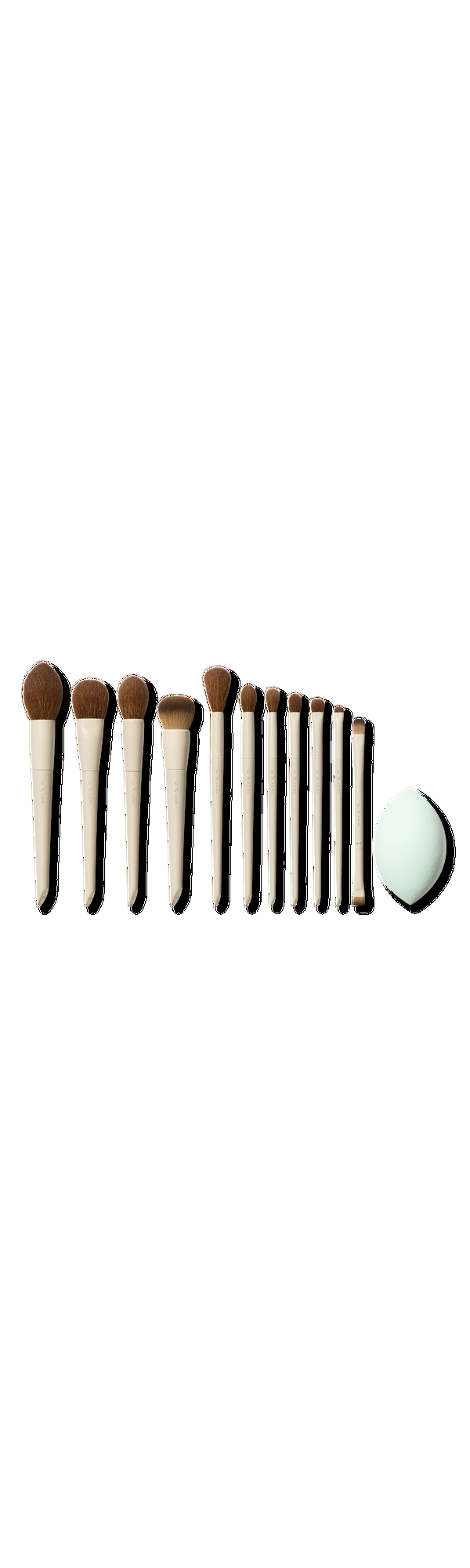 Ulta Morphe  Morphe X Ariel Signature Look 12-Piece Face & Eye Brush Set