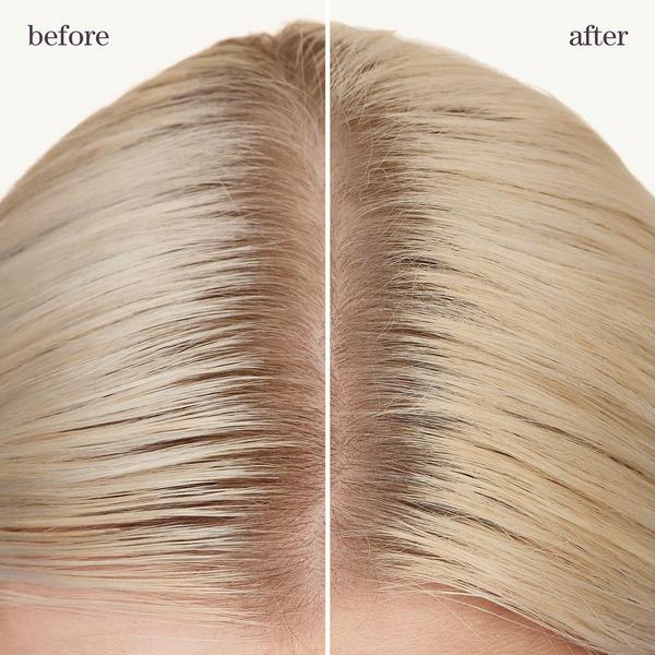 Ulta Pureology  Style + Protect Refresh & Go Dry Shampoo