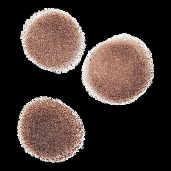 Ulta ULTA Beauty Collection  Eyebrow Stamp And Stencil Kit