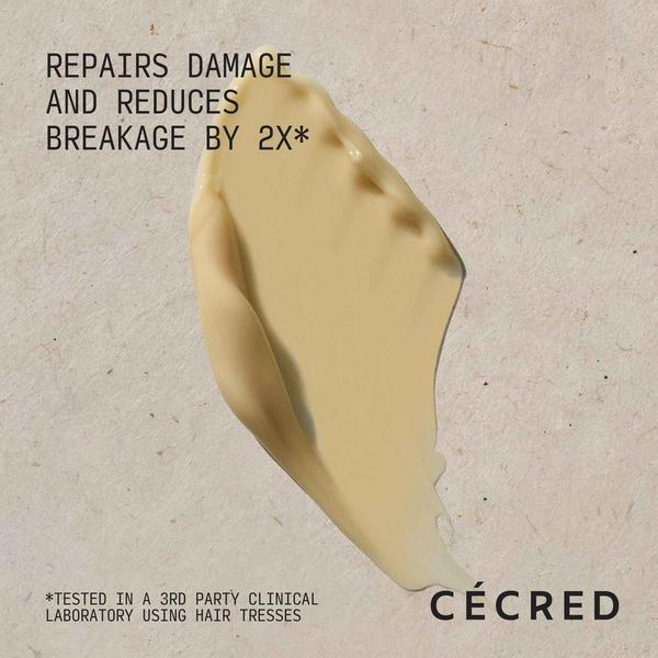 Ulta CÉCRED  Reconstructing Treatment Mask