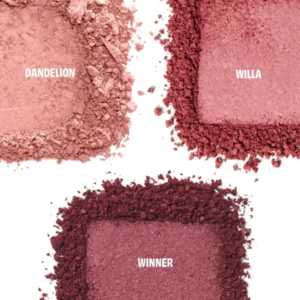 Benefit Cheek Score Blush Limited Edition Palette (Worth £49.50)