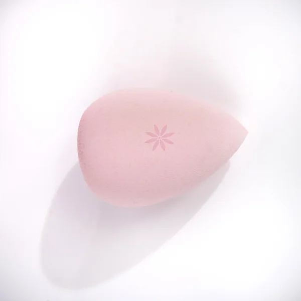 Brushworks Complexion Sponge