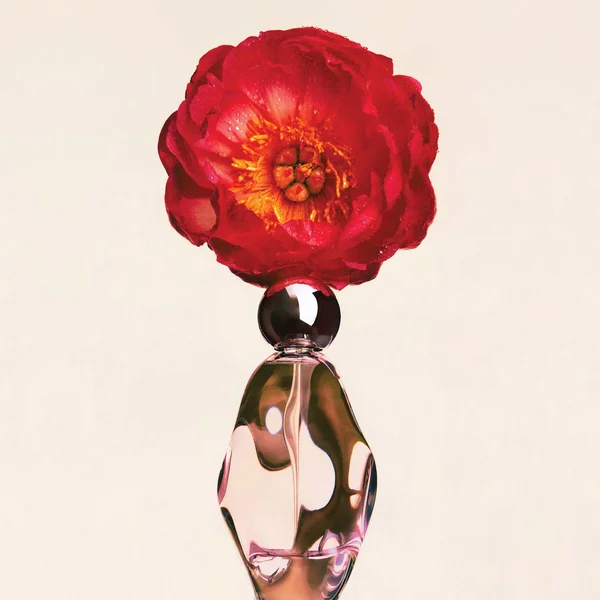 Cosmic By Kylie Jenner Eau De Parfum 100ml