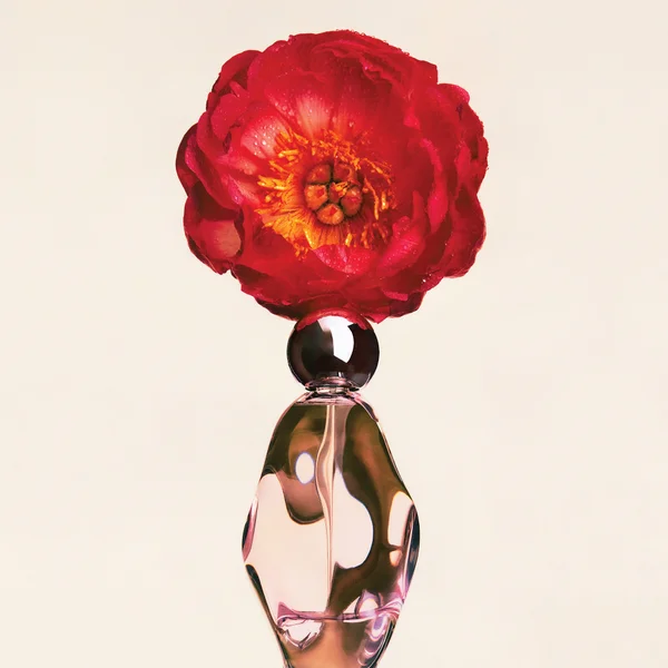 Cosmic By Kylie Jenner Eau De Parfum Pen Spray 10ml