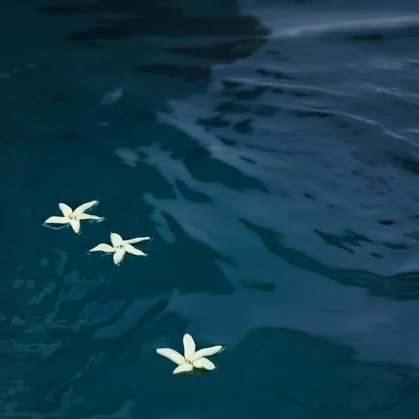 ESPA Bergamot & Jasmine Scented Candle 240g