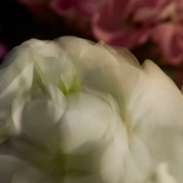 ESPA Restorative Scented Candle 240g