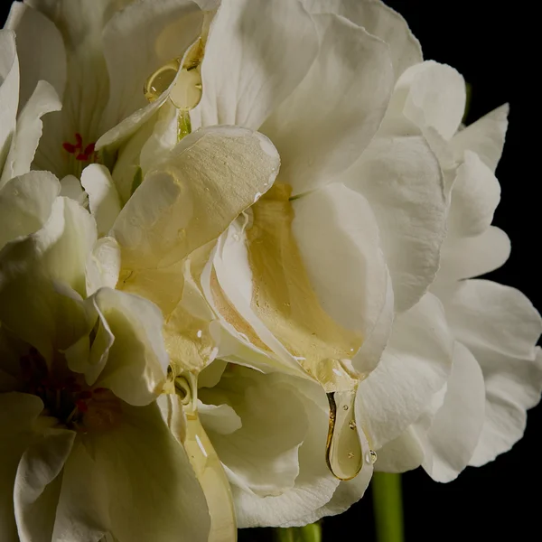 ESPA Soothing Scented Candle 240g