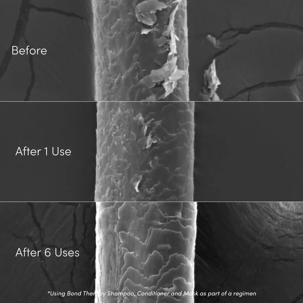 Exclusive Coco & Eve Bond Therapy Pro Bond Hair Mask