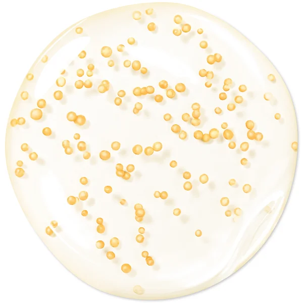 GUERLAIN Abeille Royale Youth Watery Oil Serum 30ml