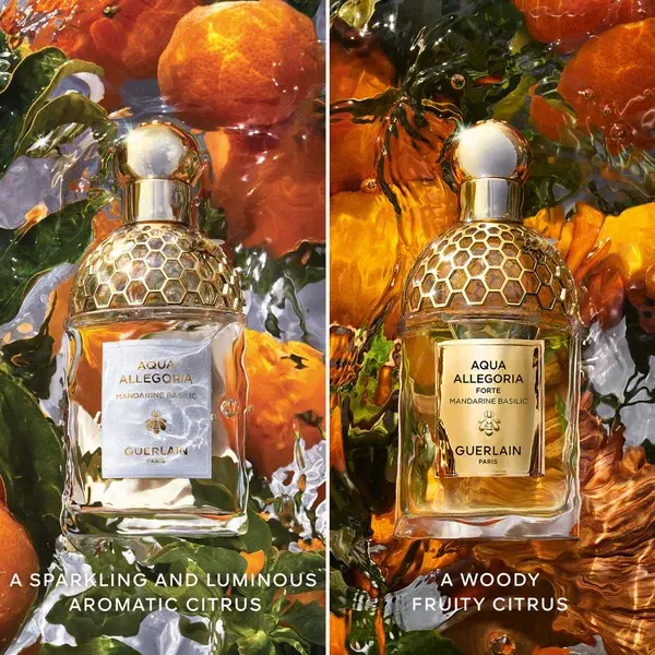 GUERLAIN Aqua Allegoria Forte Mandarine Basilic Eau De Parfum 75ml