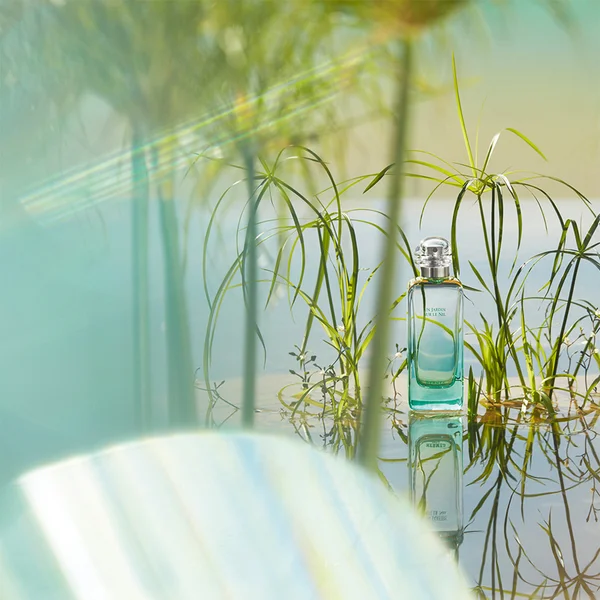 Hermès Un Jardin Sur Le Nil Eau De Toilette 100ml